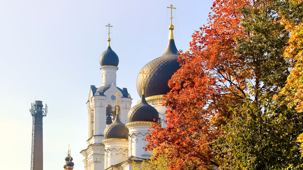 

Село Всехсвятское и его обитатели