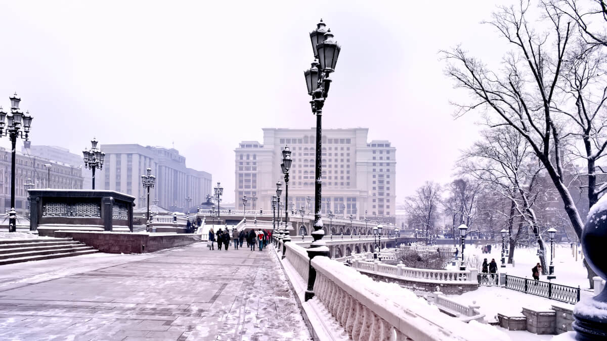

Новогодний выход в свет