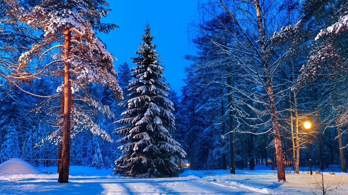 

Новогоднее волшебство в Карелии