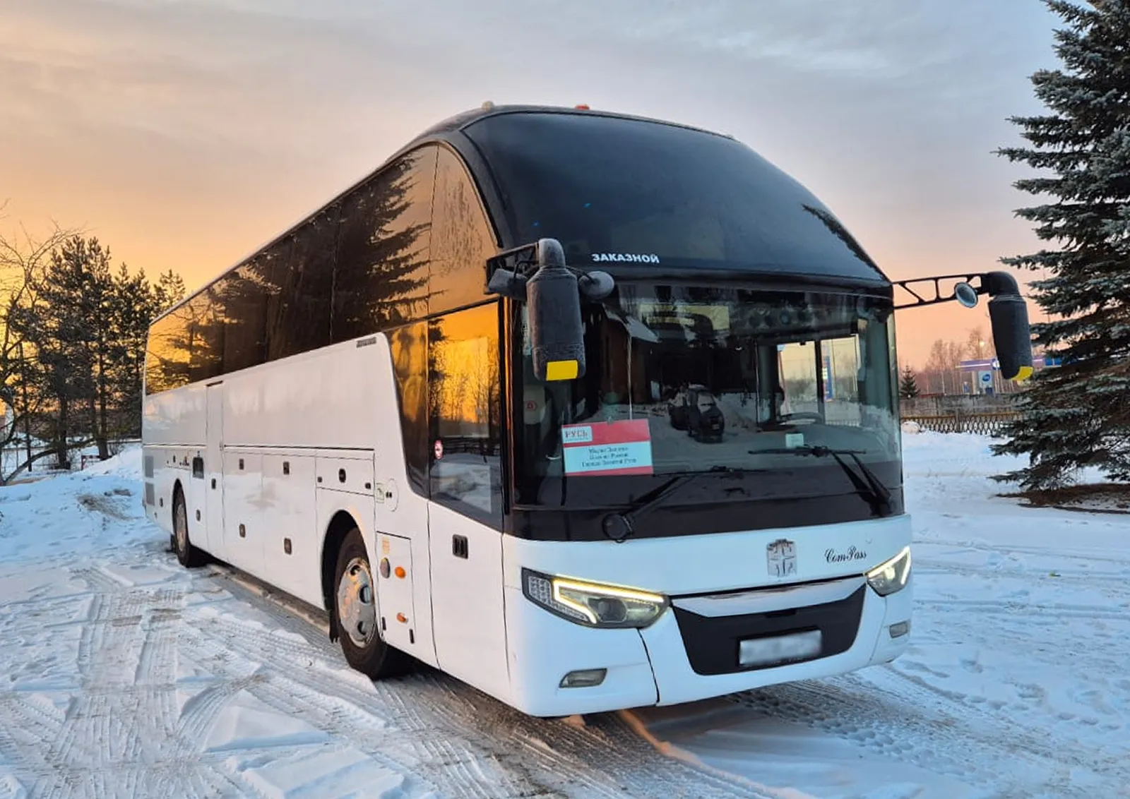 Картинка экстерьера автобуса